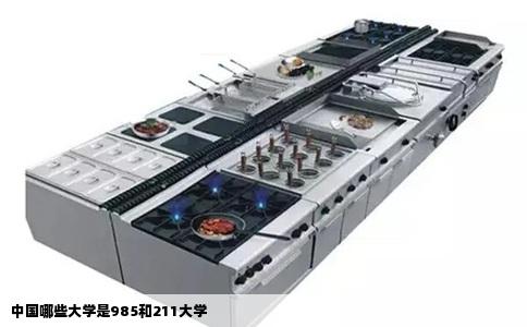 中国哪些大学是985和211大学