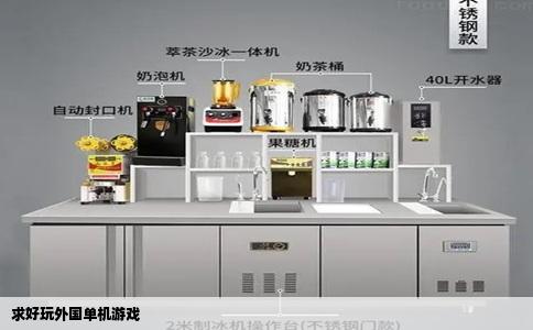 求好玩外国单机游戏