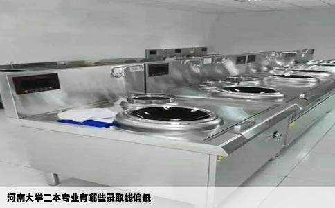 河南大学二本专业有哪些录取线偏低