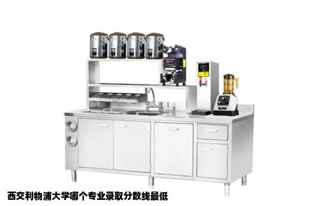 西交利物浦大学哪个专业录取分数线最低