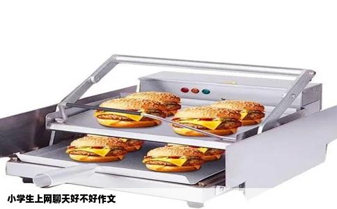 小学生上网聊天好不好作文