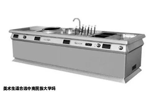 美术生适合选中南民族大学吗