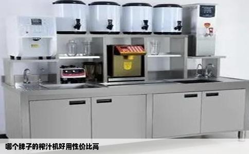 哪个牌子的榨汁机好用性价比高
