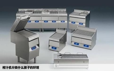 榨汁机分类什么牌子的好啊