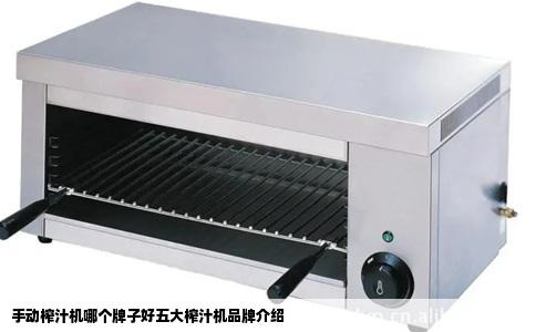 手动榨汁机哪个牌子好五大榨汁机品牌介绍