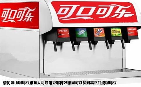请问蓝山咖啡豆跟意大利咖啡豆哪种好哪里可以买到真正的纯咖啡豆