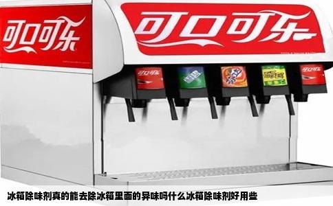 冰箱除味剂真的能去除冰箱里面的异味吗什么冰箱除味剂好用些