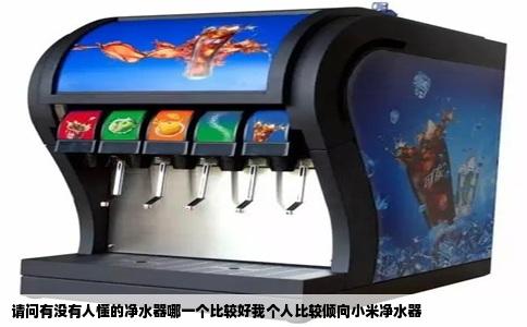 请问有没有人懂的净水器哪一个比较好我个人比较倾向小米净水器