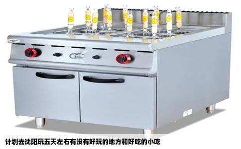 计划去沈阳玩五天左右有没有好玩的地方和好吃的小吃
