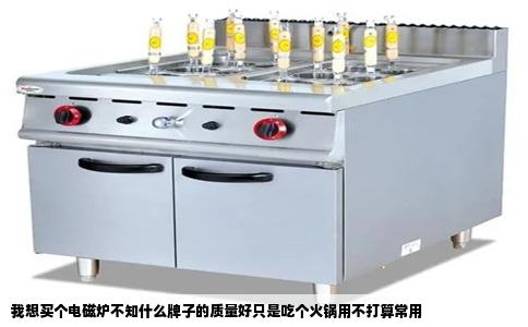 我想买个电磁炉不知什么牌子的质量好只是吃个火锅用不打算常用