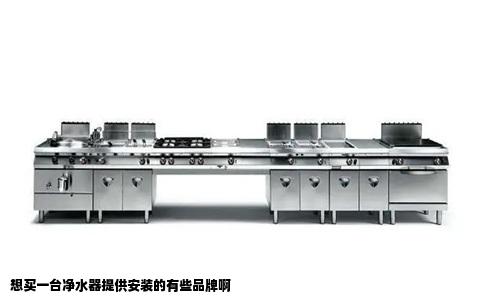 想买一台净水器提供安装的有些品牌啊