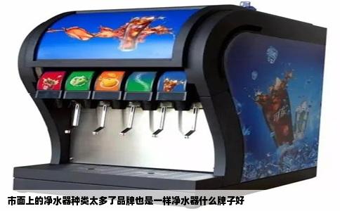 市面上的净水器种类太多了品牌也是一样净水器什么牌子好