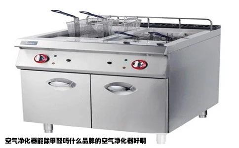 空气净化器能除甲醛吗什么品牌的空气净化器好啊
