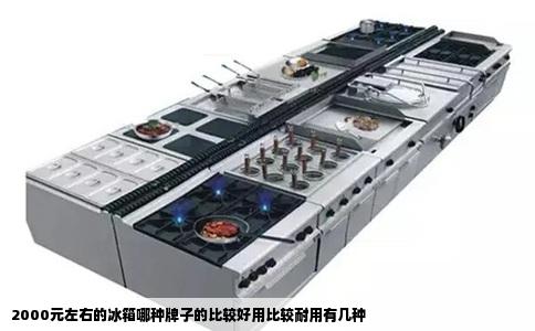 2000元左右的冰箱哪种牌子的比较好用比较耐用有几种