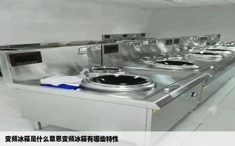 变频冰箱是什么意思变频冰箱有哪些特性