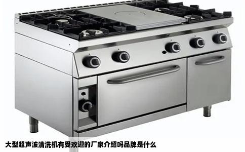 大型超声波清洗机有受欢迎的厂家介绍吗品牌是什么