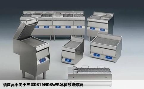 请教高手关于三星RS19NRSW电冰箱故障修复