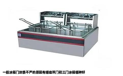 一般冰箱门封条不严的原因有哪些双门和三门冰箱哪种好