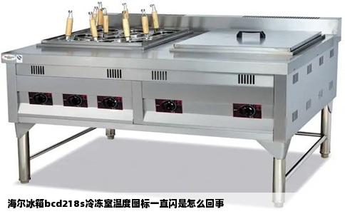 海尔冰箱bcd218s冷冻室温度图标一直闪是怎么回事