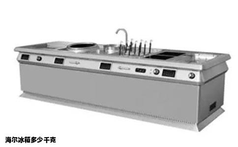 海尔冰箱多少千克