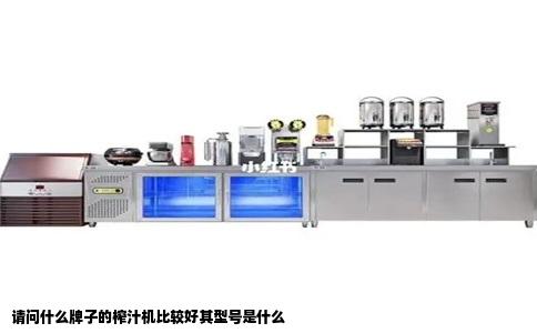 请问什么牌子的榨汁机比较好其型号是什么