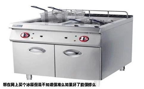 想在网上买个冰箱但是不知道保准么如果坏了能保修么