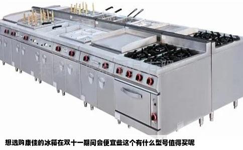 想选购康佳的冰箱在双十一期间会便宜些这个有什么型号值得买呢