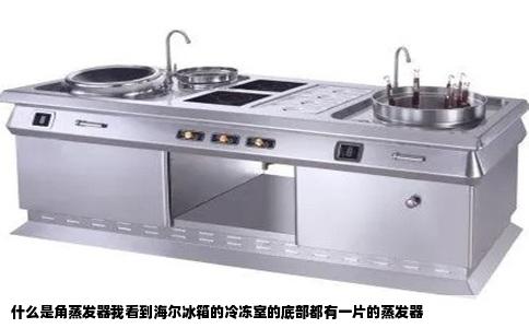 什么是角蒸发器我看到海尔冰箱的冷冻室的底部都有一片的蒸发器