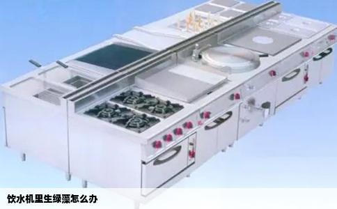 饮水机里生绿藻怎么办