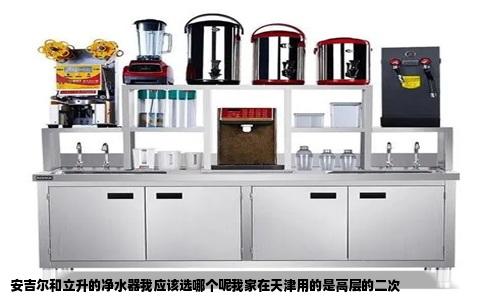 安吉尔和立升的净水器我应该选哪个呢我家在天津用的是高层的二次