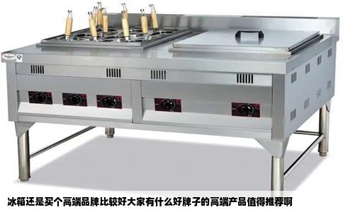 冰箱还是买个高端品牌比较好大家有什么好牌子的高端产品值得推荐啊