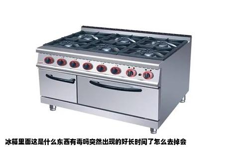 冰箱里面这是什么东西有毒吗突然出现的好长时间了怎么去掉会