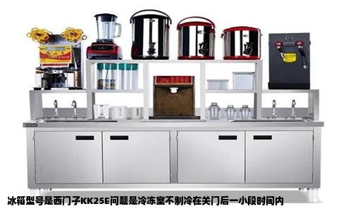 冰箱型号是西门子KK25E问题是冷冻室不制冷在关门后一小段时间内