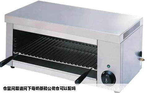 仓鼠问题请问下母奶茶和公花仓可以配吗