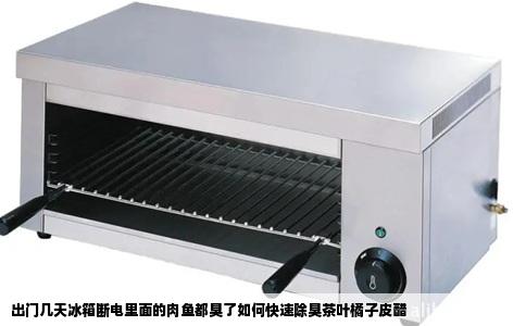 出门几天冰箱断电里面的肉鱼都臭了如何快速除臭茶叶橘子皮醋