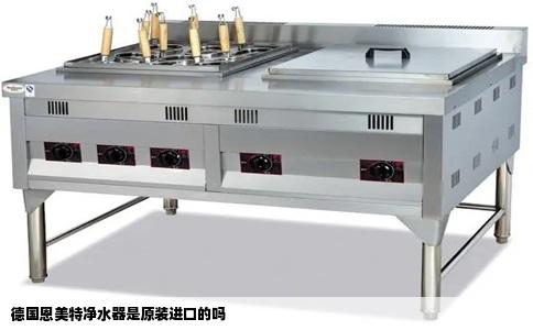 德国恩美特净水器是原装进口的吗