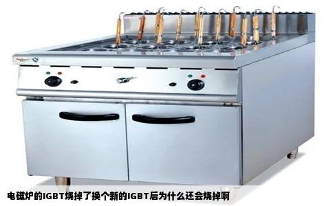 电磁炉的IGBT烧掉了换个新的IGBT后为什么还会烧掉啊