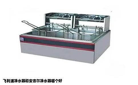 飞利浦净水器和安吉尔净水器哪个好