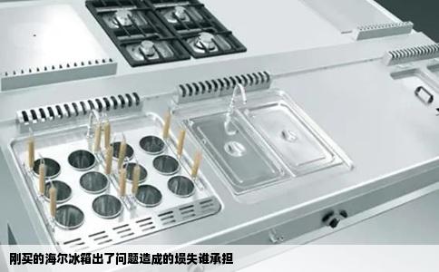 刚买的海尔冰箱出了问题造成的埙失谁承担