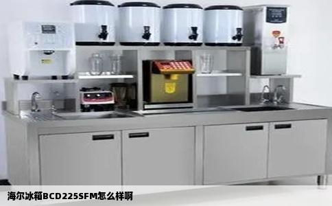 海尔冰箱BCD225SFM怎么样啊