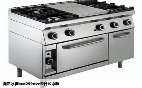 海尔冰箱bcd259dvc是什么冰箱