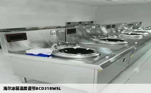 海尔冰箱温度调节BCD318WSL