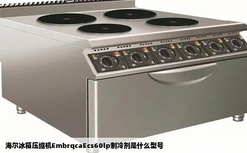 海尔冰箱压缩机EmbrqcaEcs60lp制冷剂是什么型号