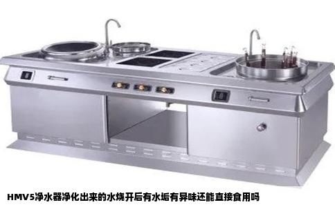 HMV5净水器净化出来的水烧开后有水垢有异味还能直接食用吗