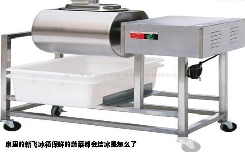 家里的新飞冰箱保鲜的蔬菜都会结冰是怎么了