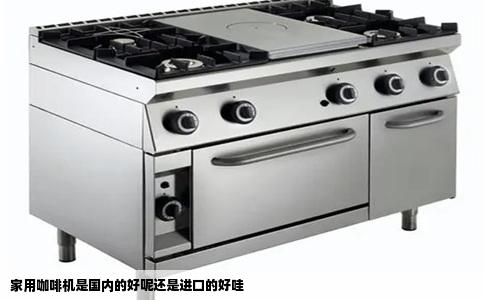 家用咖啡机是国内的好呢还是进口的好哇