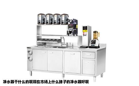 净水器干什么的啊现在市场上什么牌子的净水器好啊