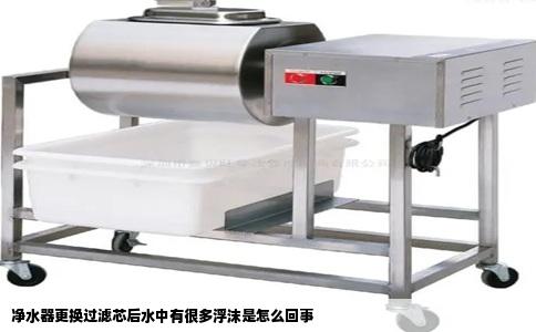 净水器更换过滤芯后水中有很多浮沫是怎么回事