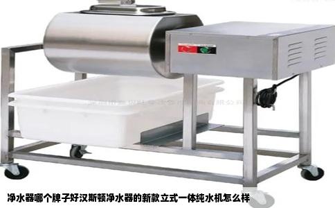 净水器哪个牌子好汉斯顿净水器的新款立式一体纯水机怎么样