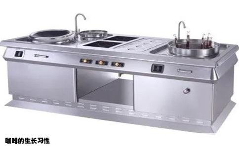 咖啡的生长习性